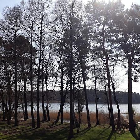 Haus Wilma Gruene Idylle Im Wald Direkt Am See ويندستش ريتز المظهر الخارجي الصورة