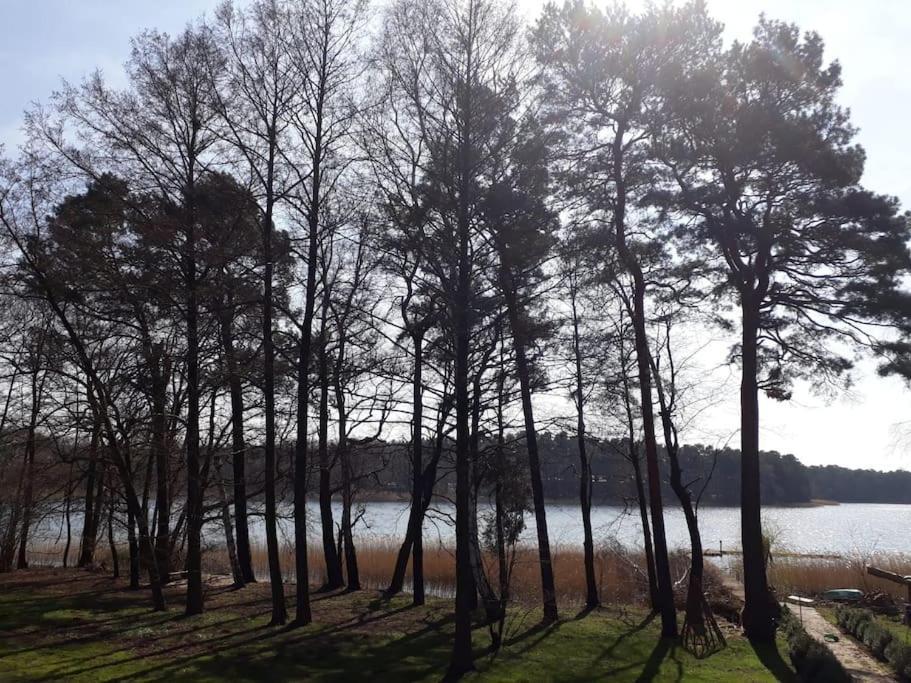Haus Wilma Gruene Idylle Im Wald Direkt Am See ويندستش ريتز المظهر الخارجي الصورة