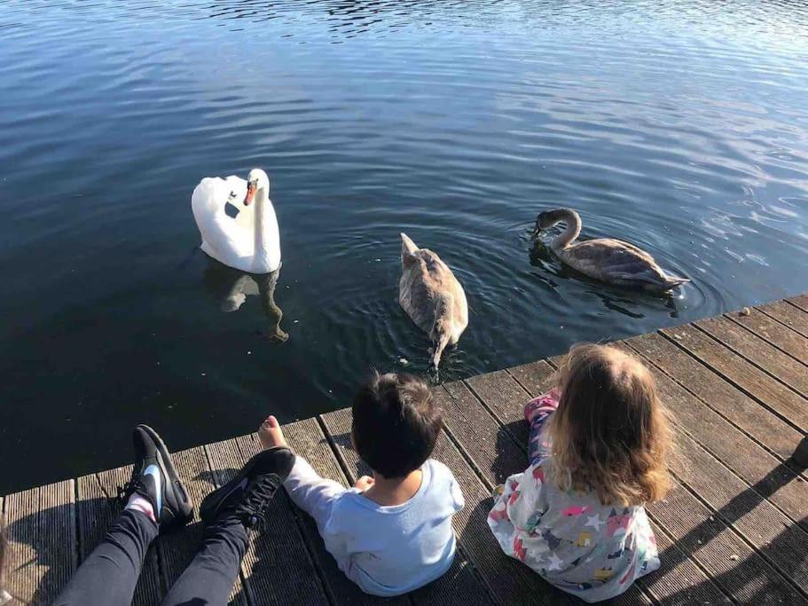 Haus Wilma Gruene Idylle Im Wald Direkt Am See ويندستش ريتز المظهر الخارجي الصورة