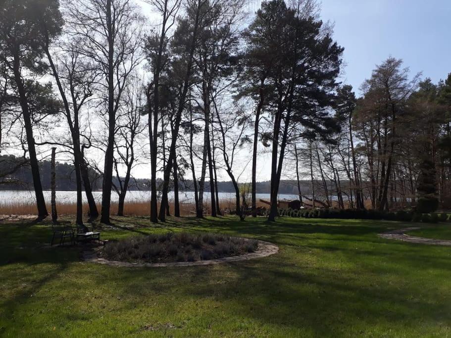 Haus Wilma Gruene Idylle Im Wald Direkt Am See ويندستش ريتز المظهر الخارجي الصورة