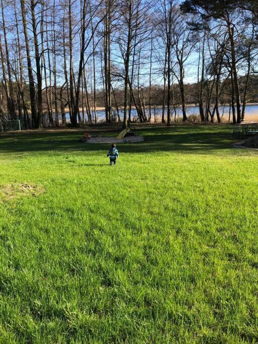 Haus Wilma Gruene Idylle Im Wald Direkt Am See ويندستش ريتز المظهر الخارجي الصورة