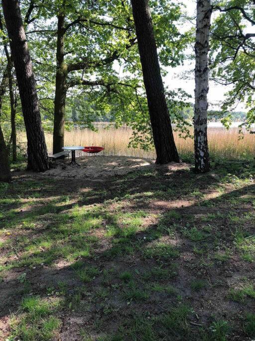 Haus Wilma Gruene Idylle Im Wald Direkt Am See ويندستش ريتز المظهر الخارجي الصورة